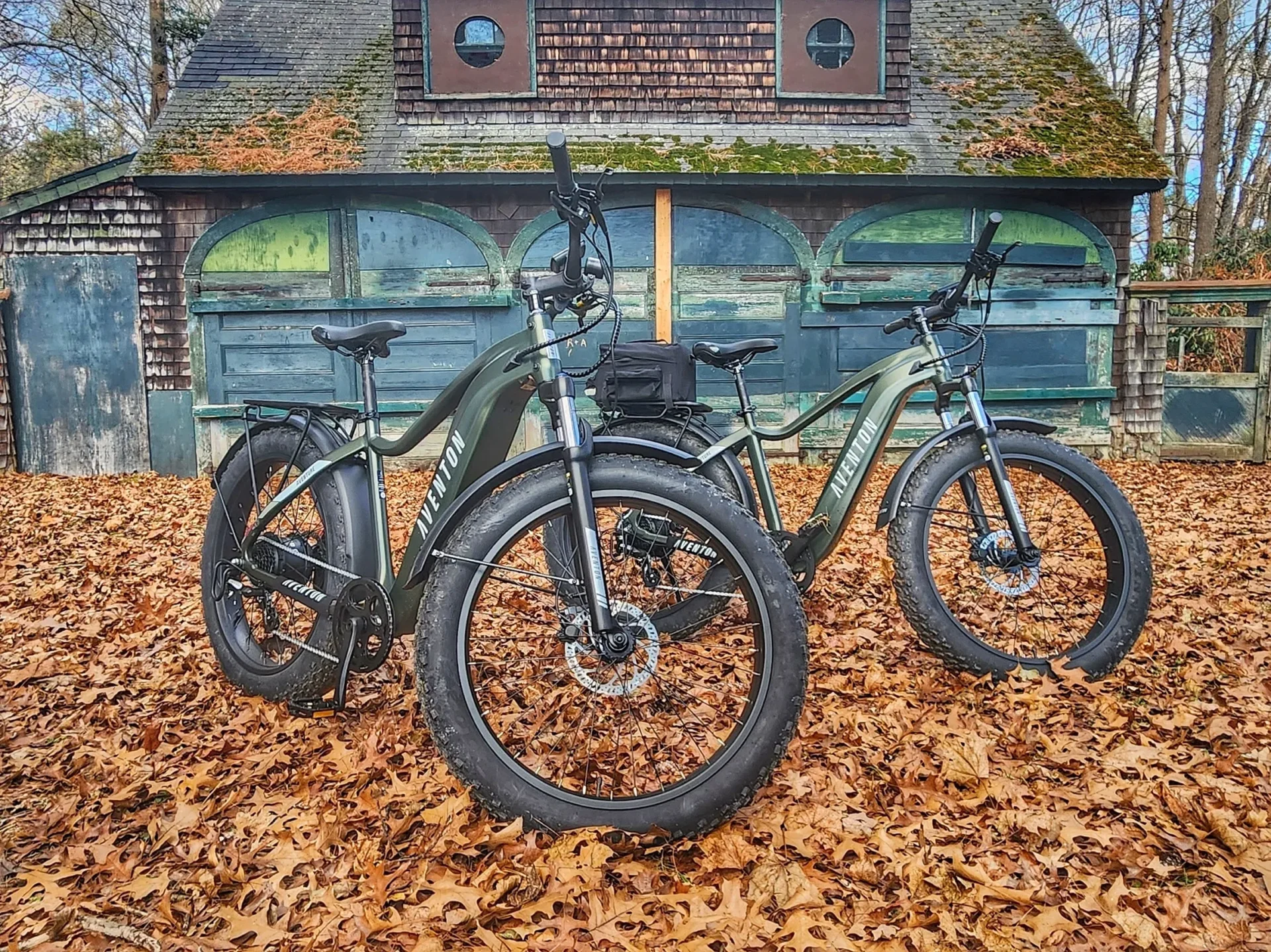 Two bikes parked in a pile of leaves.