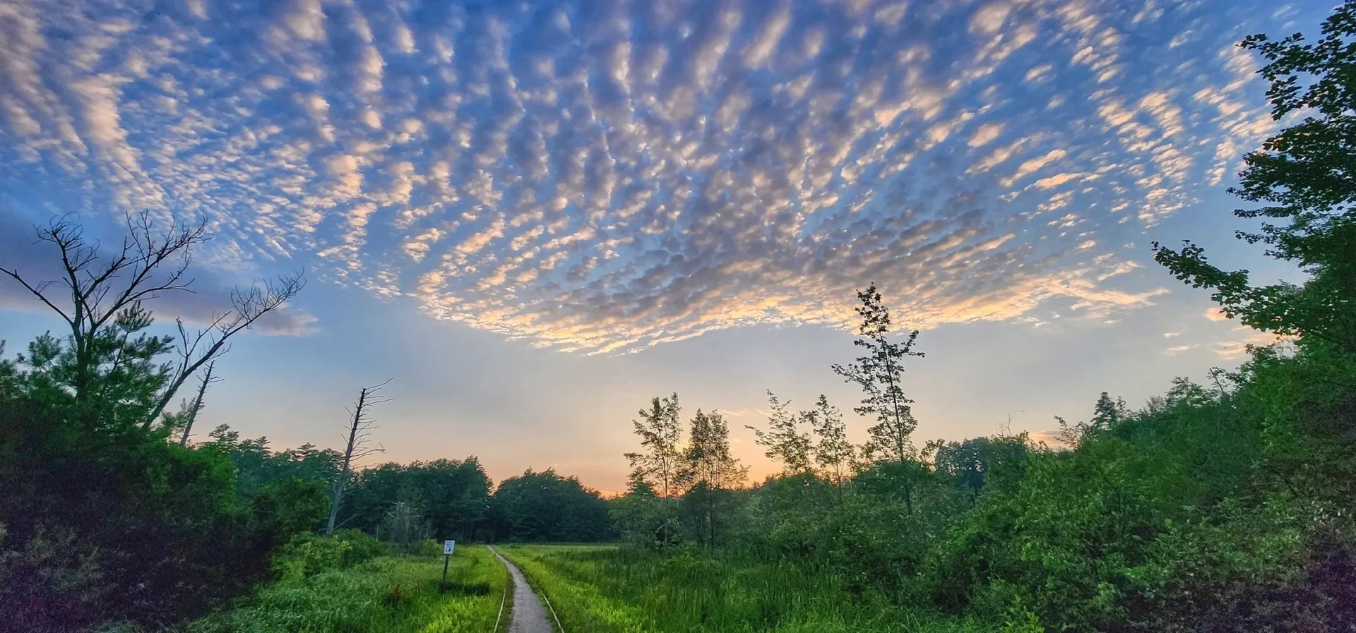 319 Ebike rail trail adventure bicycle rentals. Custom bike tours and things to do