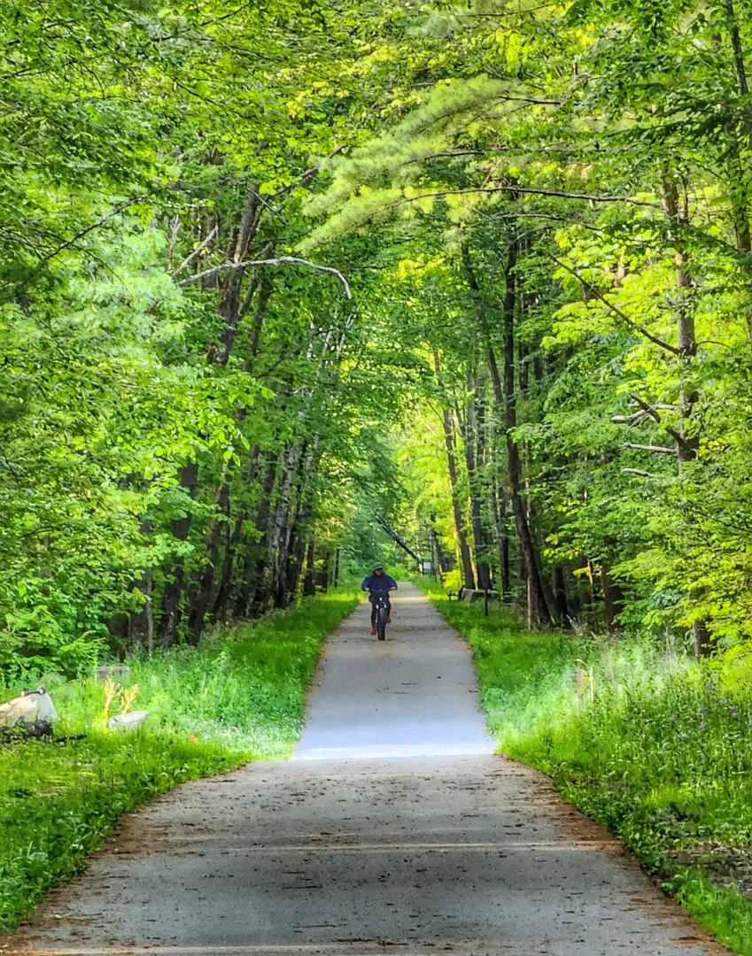 A person is walking down the path in the woods.